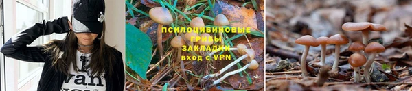 альфа пвп VHQ Горнозаводск