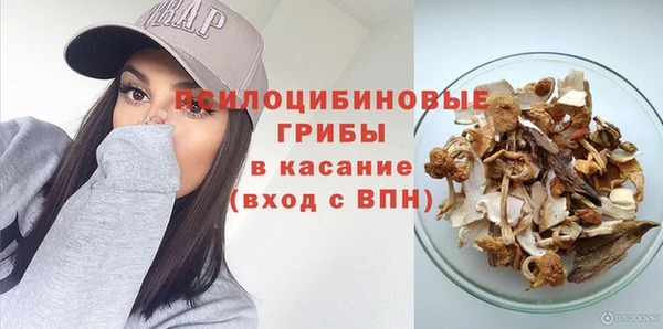 спиды Горно-Алтайск