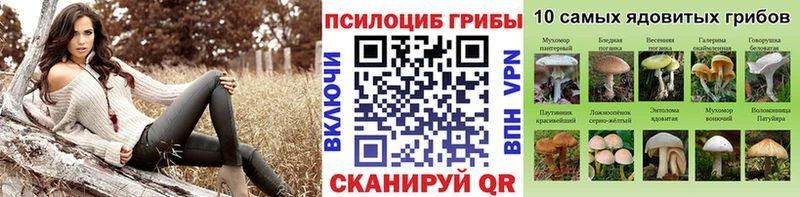 Галлюциногенные грибы мицелий  мега сайт  Палласовка 