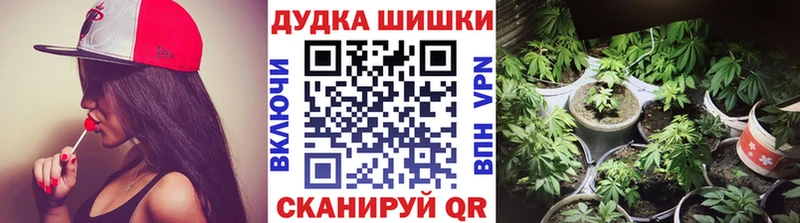 Бошки Шишки VHQ  Палласовка 